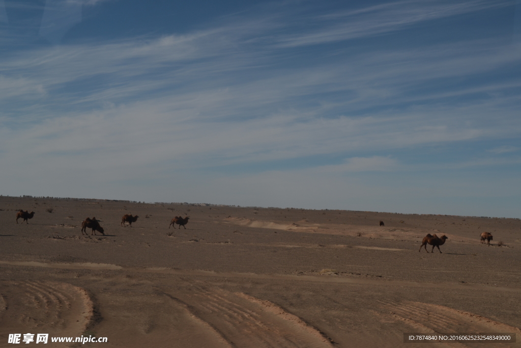 戈壁滩风光