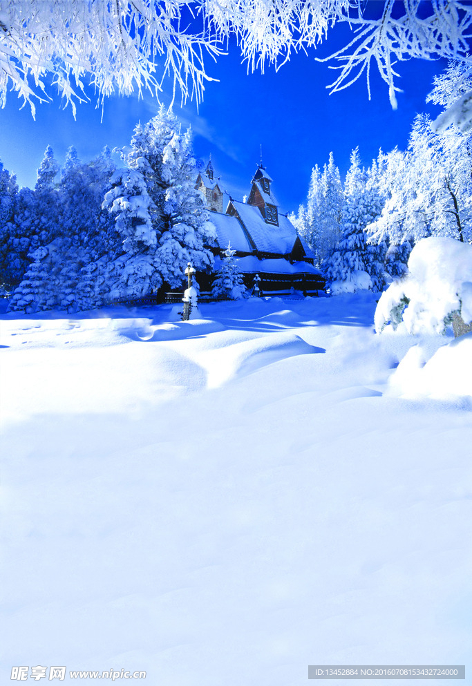 雪原