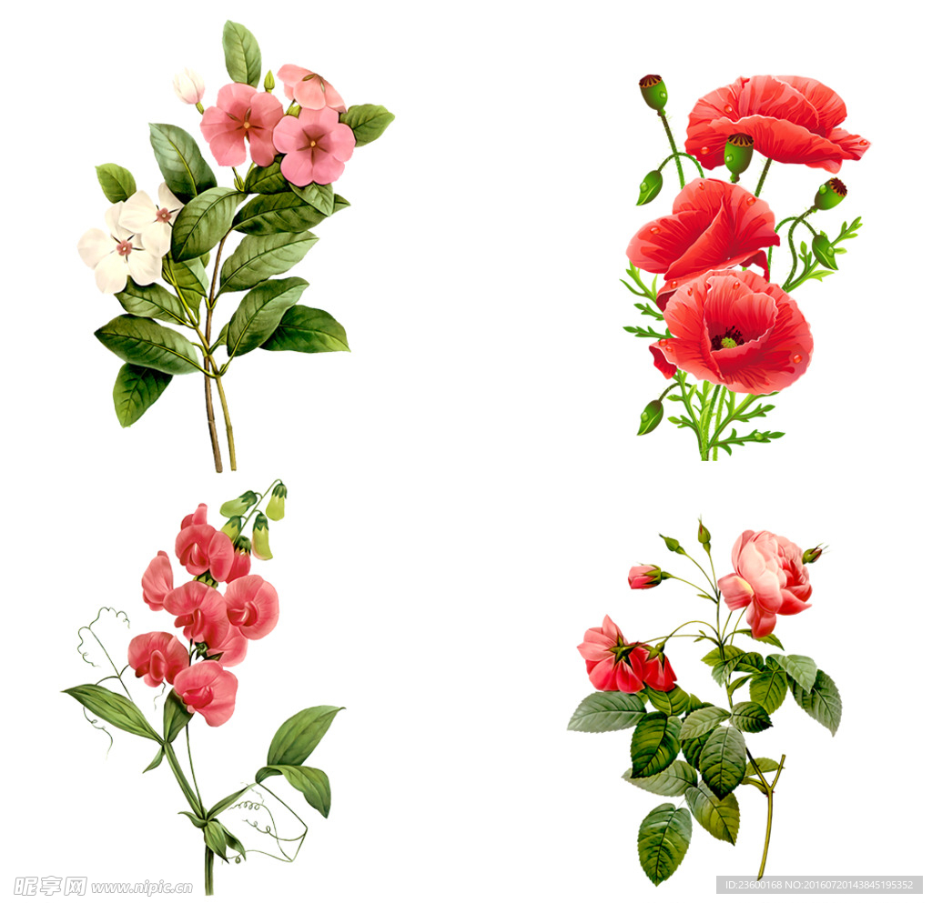 手绘花朵素材免扣