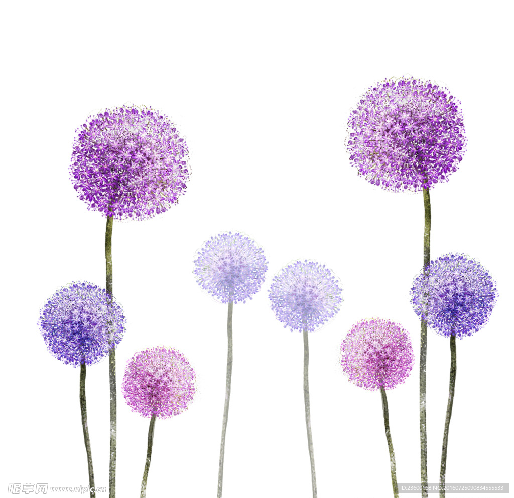 紫色免抠唯美手绘蒲公英