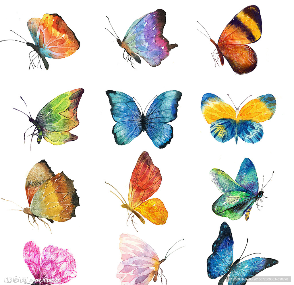 免抠手绘唯美蝴蝶