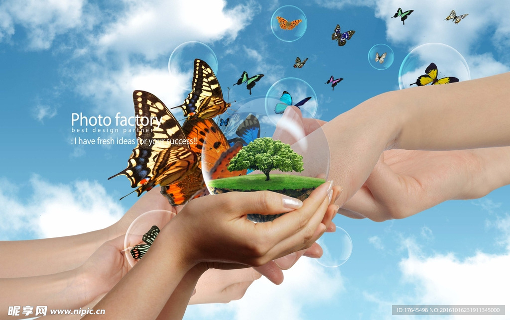 放飞多彩蝴蝶