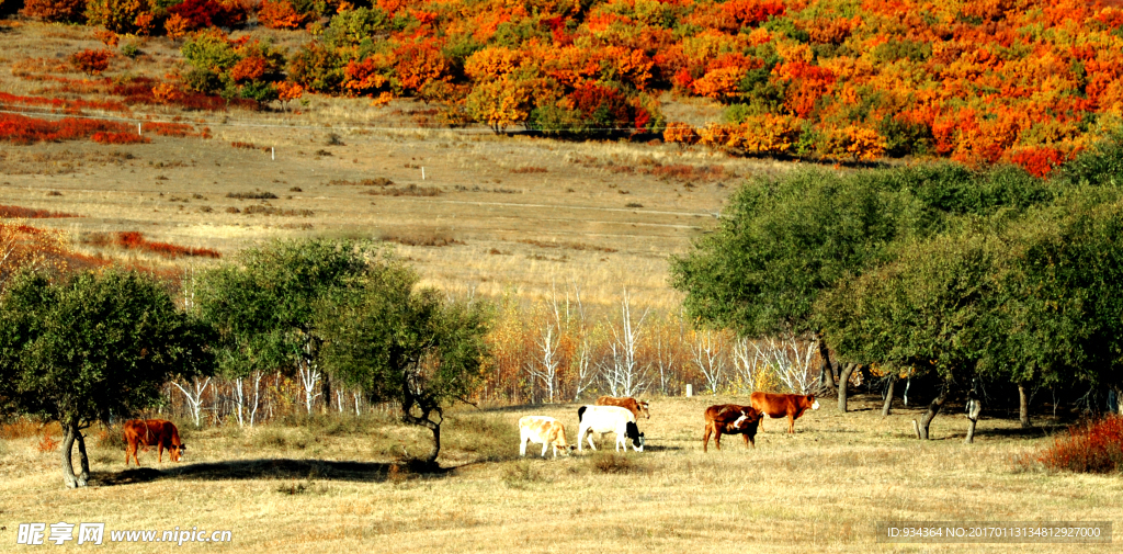 内蒙秋季风光