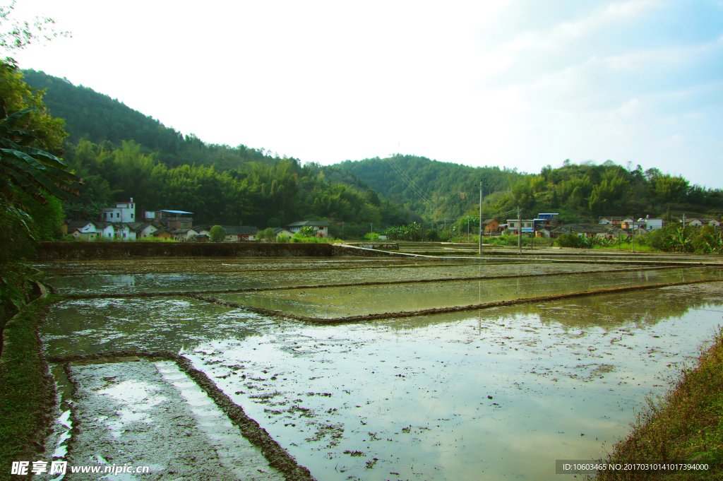 田园风光 春耕时节