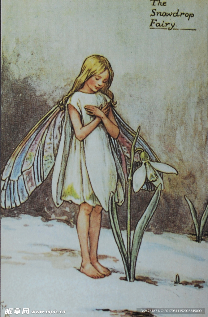 花仙子