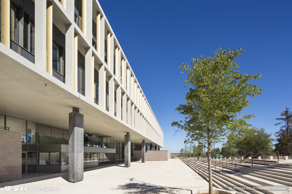 大学  高校