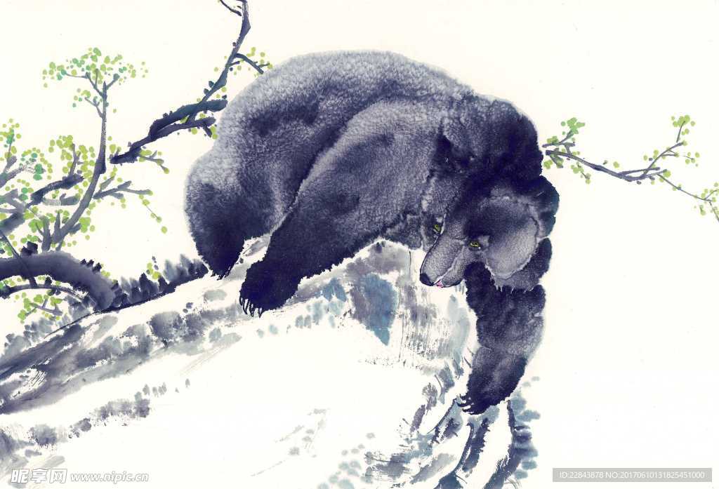 黑熊