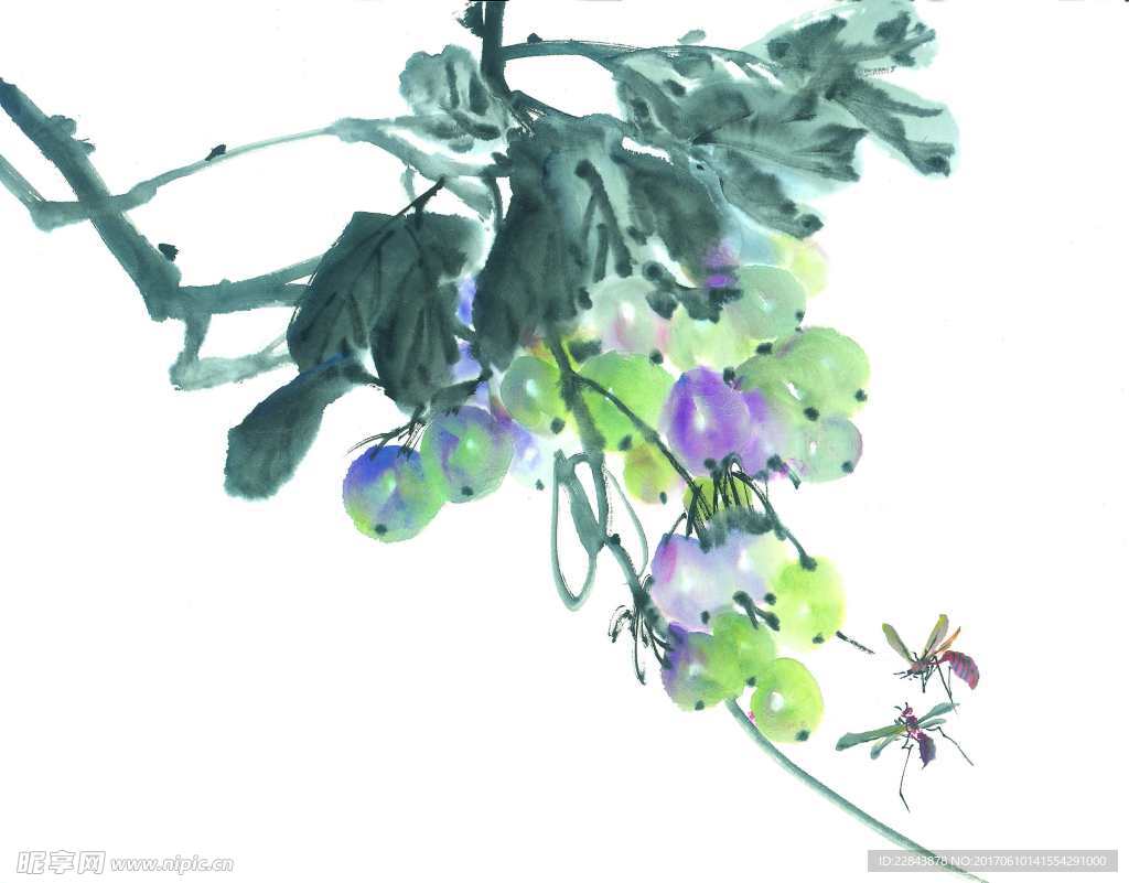 水墨画葡萄