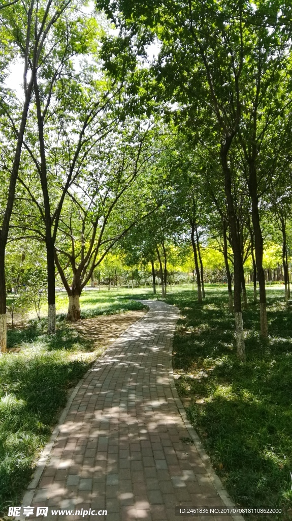小路