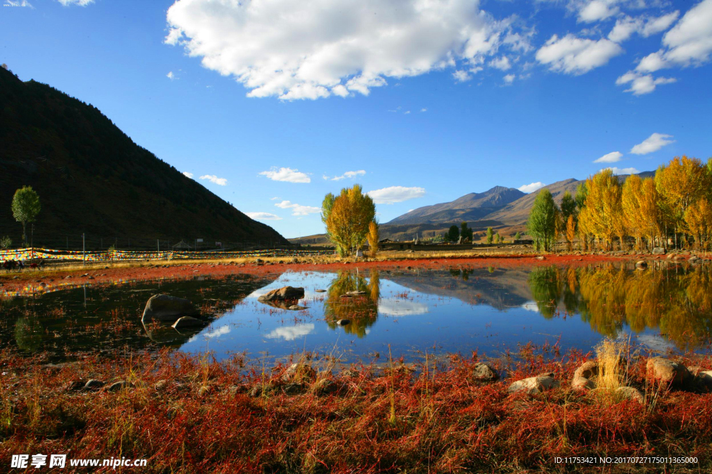 蓝天绿水红草地