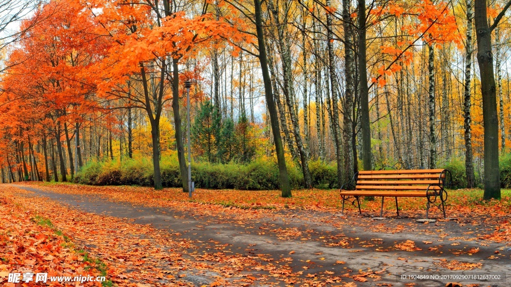 秋天公园板凳