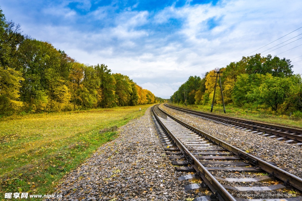 秋季森林铁路图片