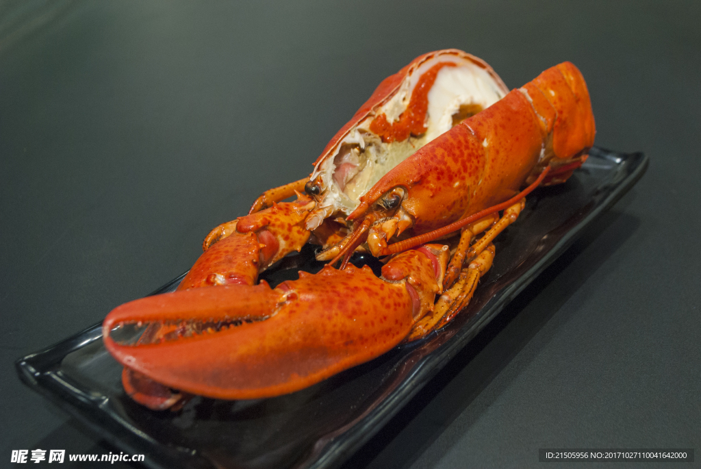 波士顿龙虾正面