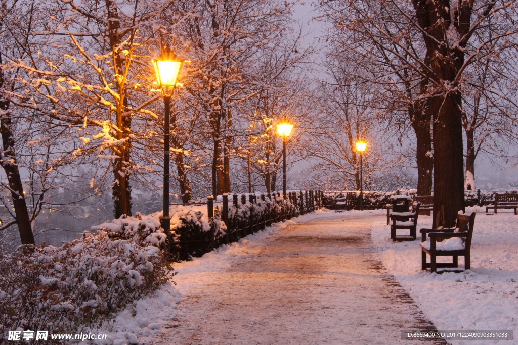 捷克公园冬季傍晚