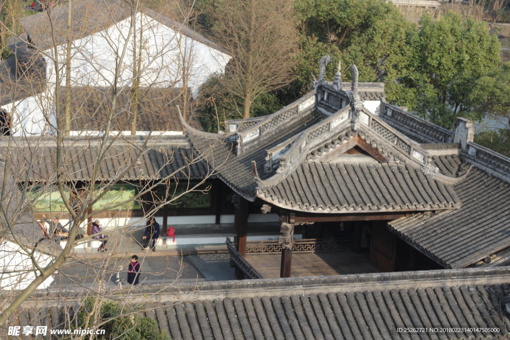 西溪湿地