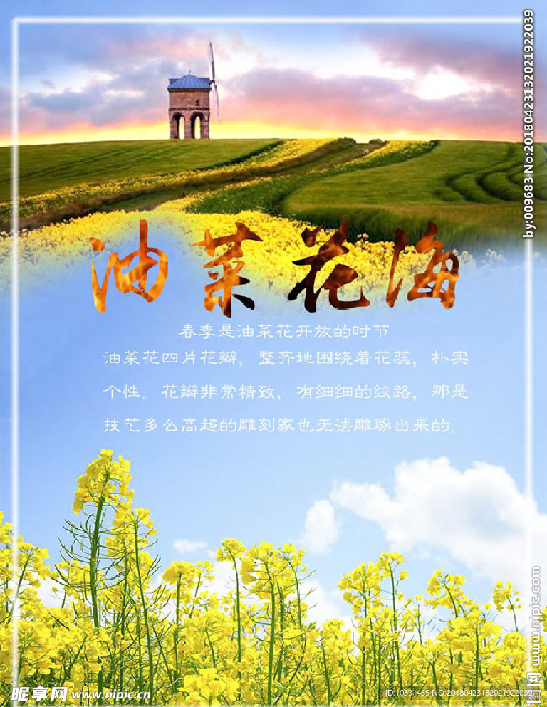 油菜花海旅游海报