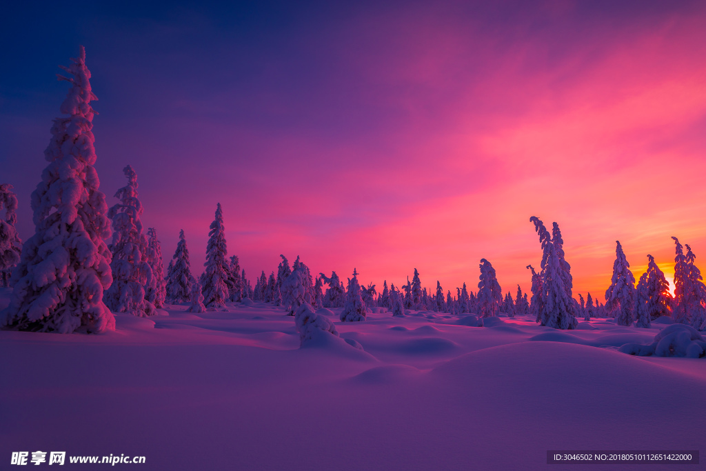 落日映红的雪地