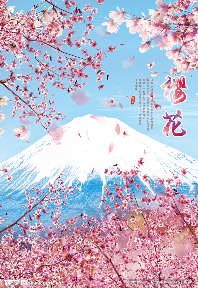 樱花
