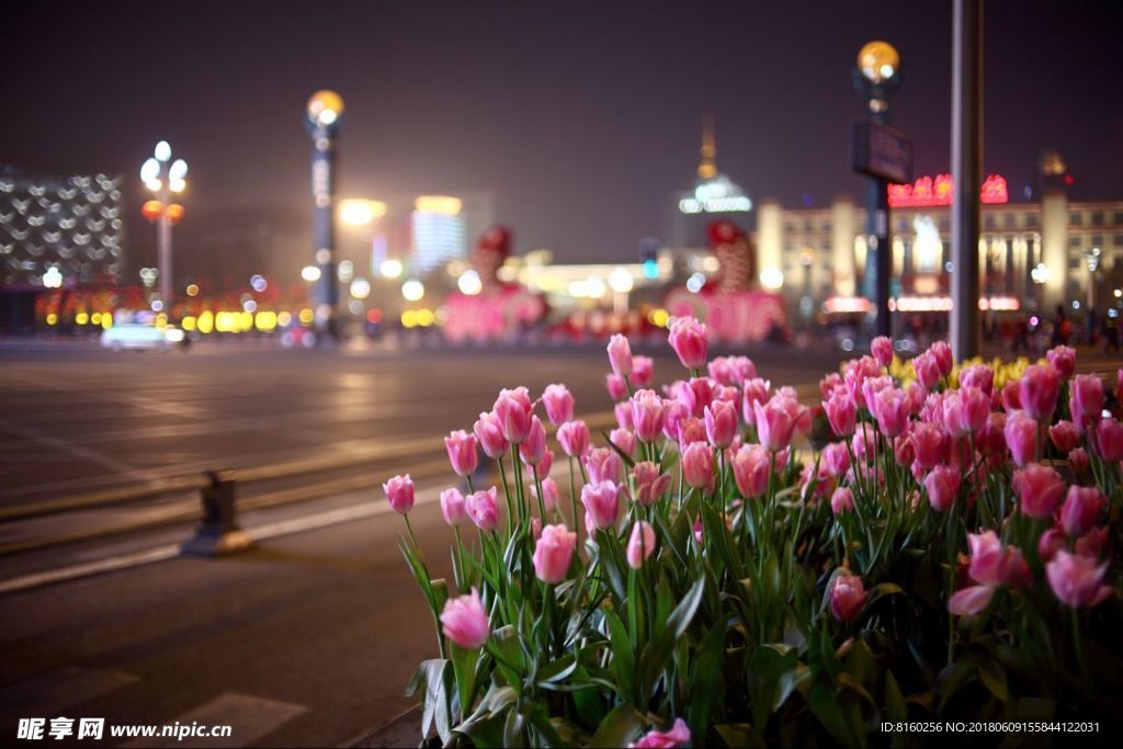 夜景