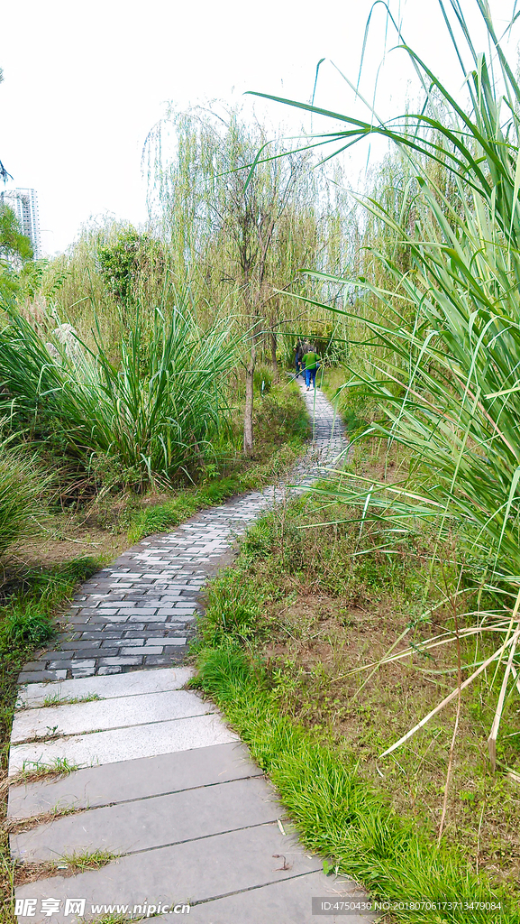 弯弯的小路