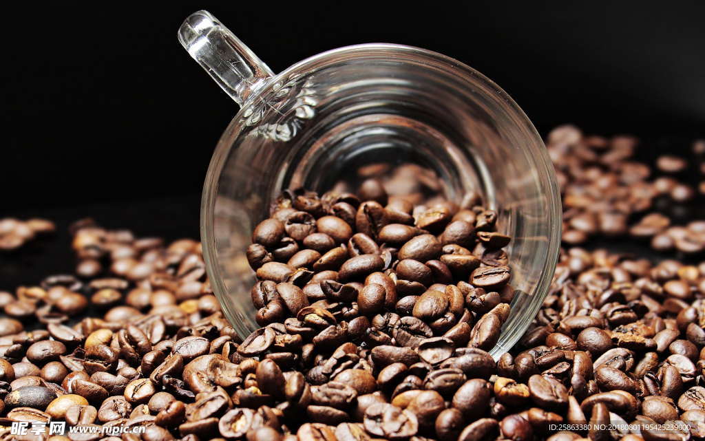 咖啡杯  咖啡豆