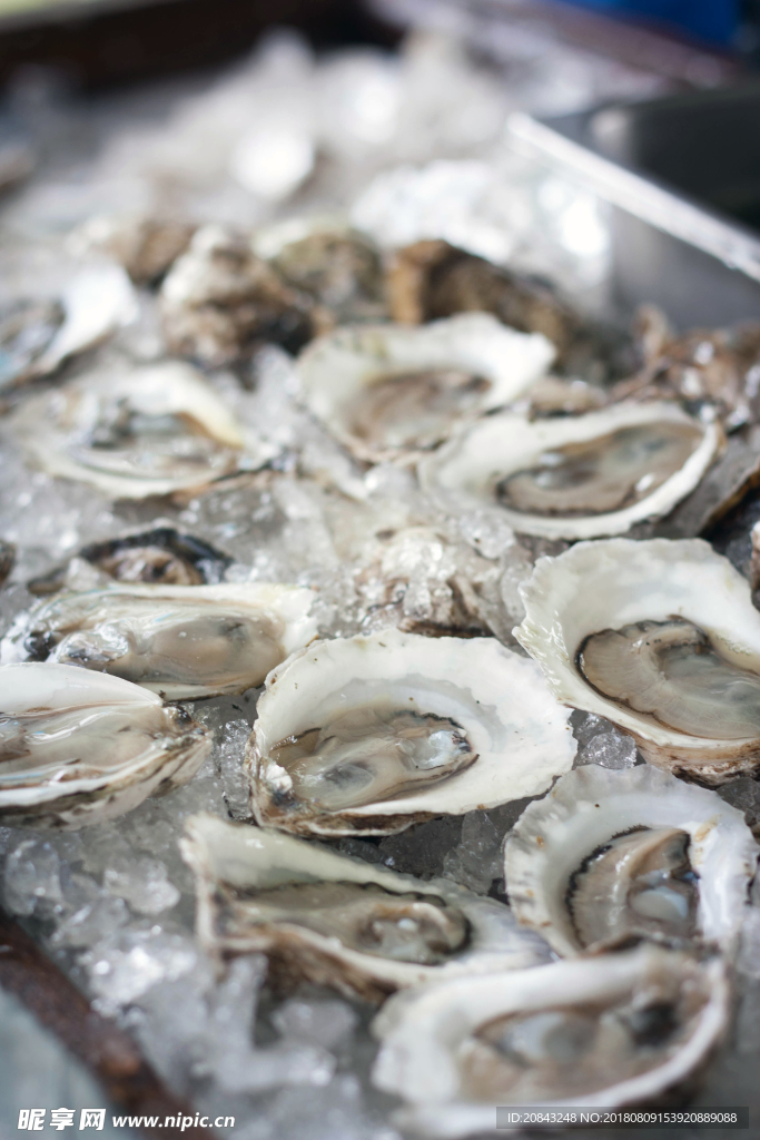 生蚝