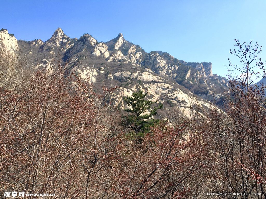 山坡美景