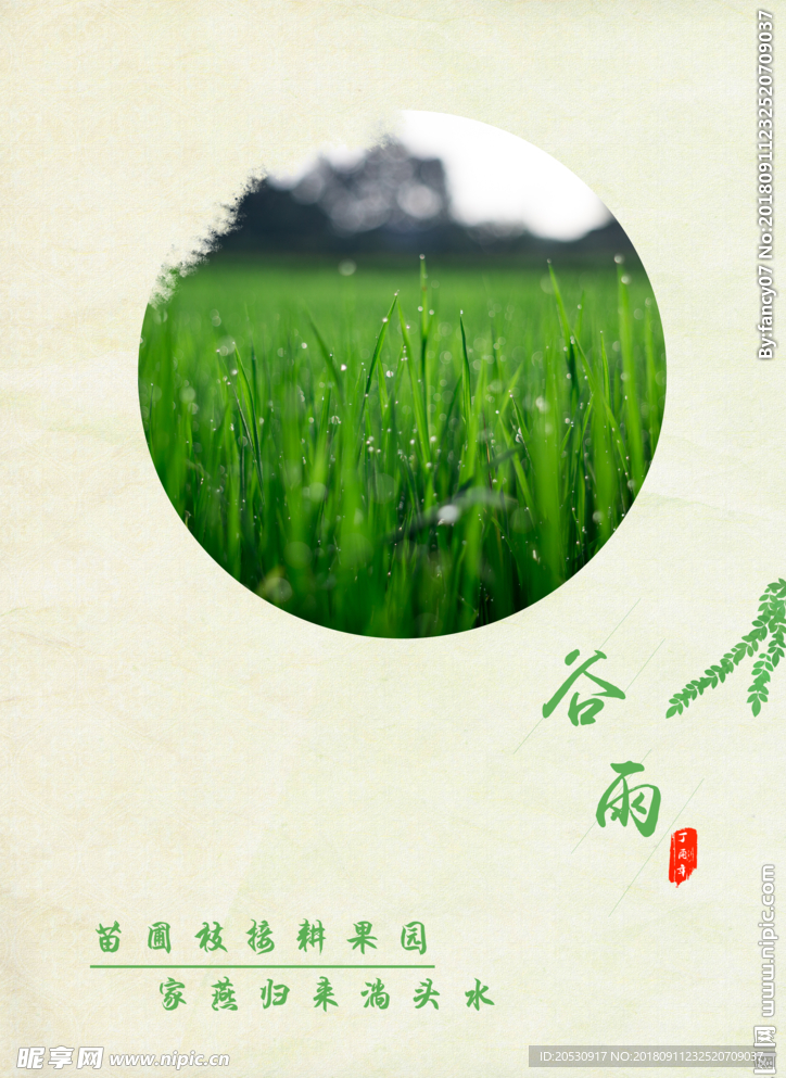 谷雨海报