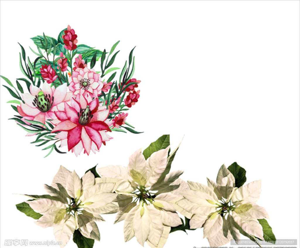 红色花