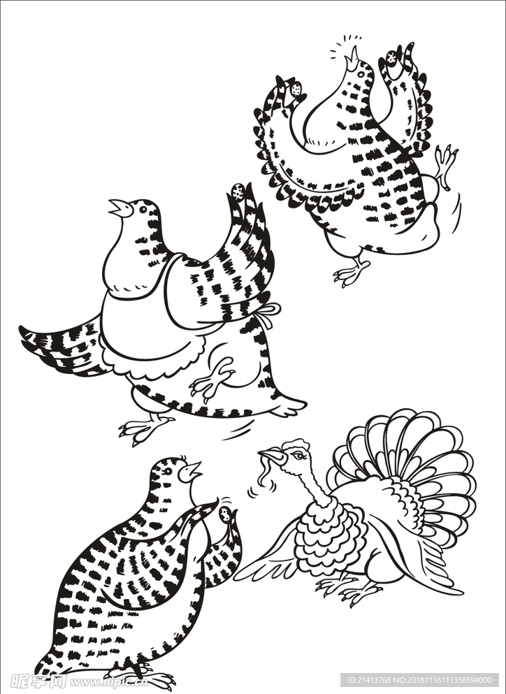 手绘线描小鸡