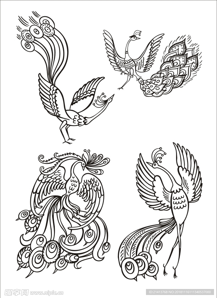 手绘线描孔雀