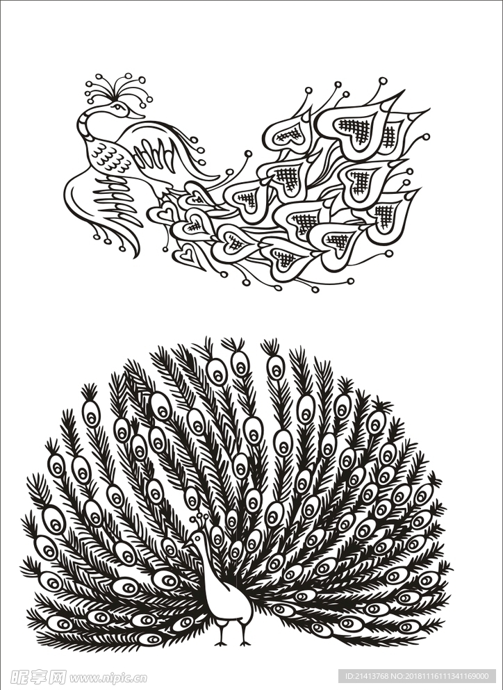 手绘线描孔雀
