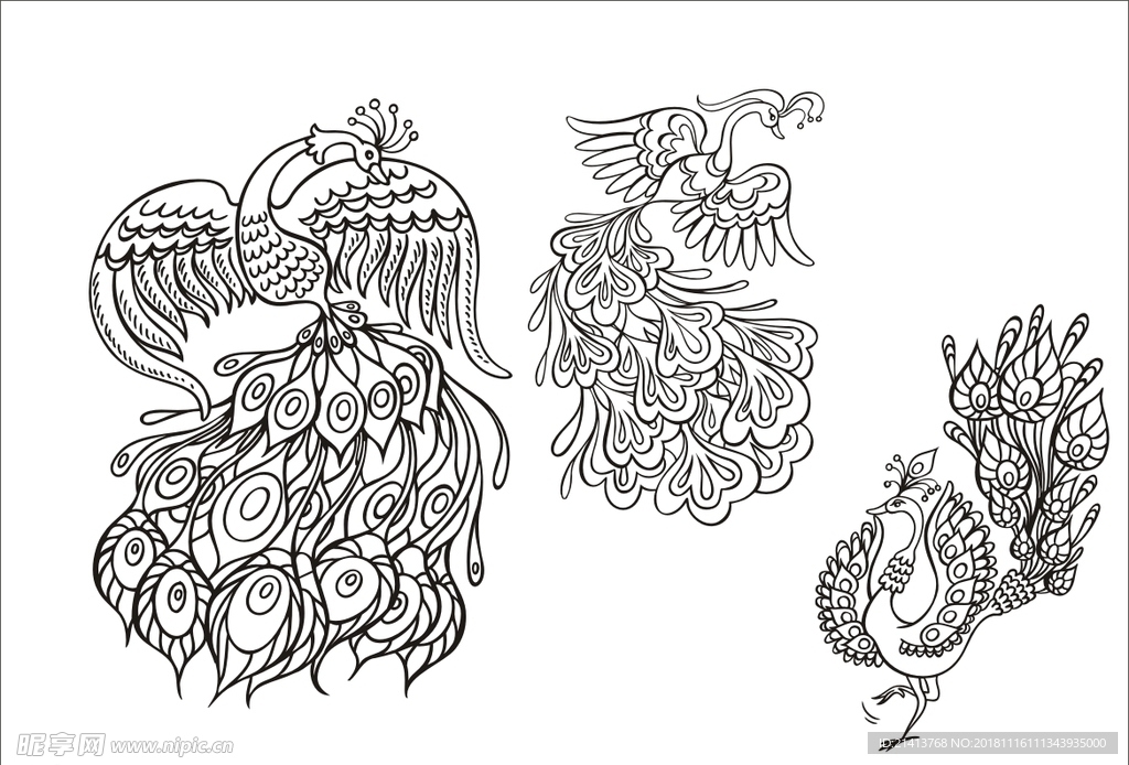 手绘线描凤凰