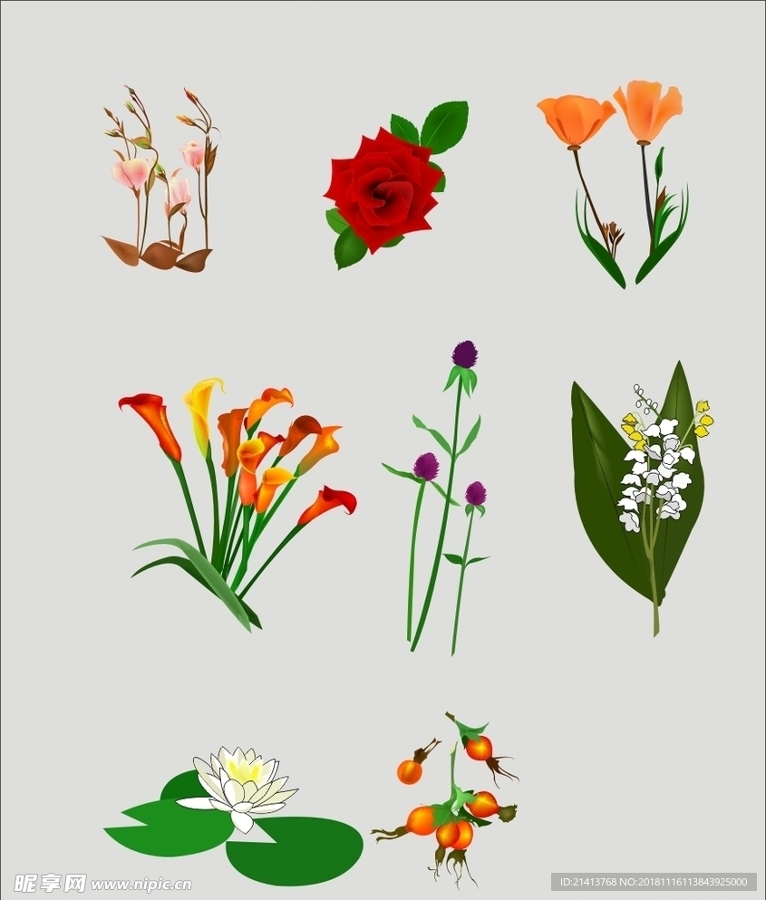 手绘花卉素材