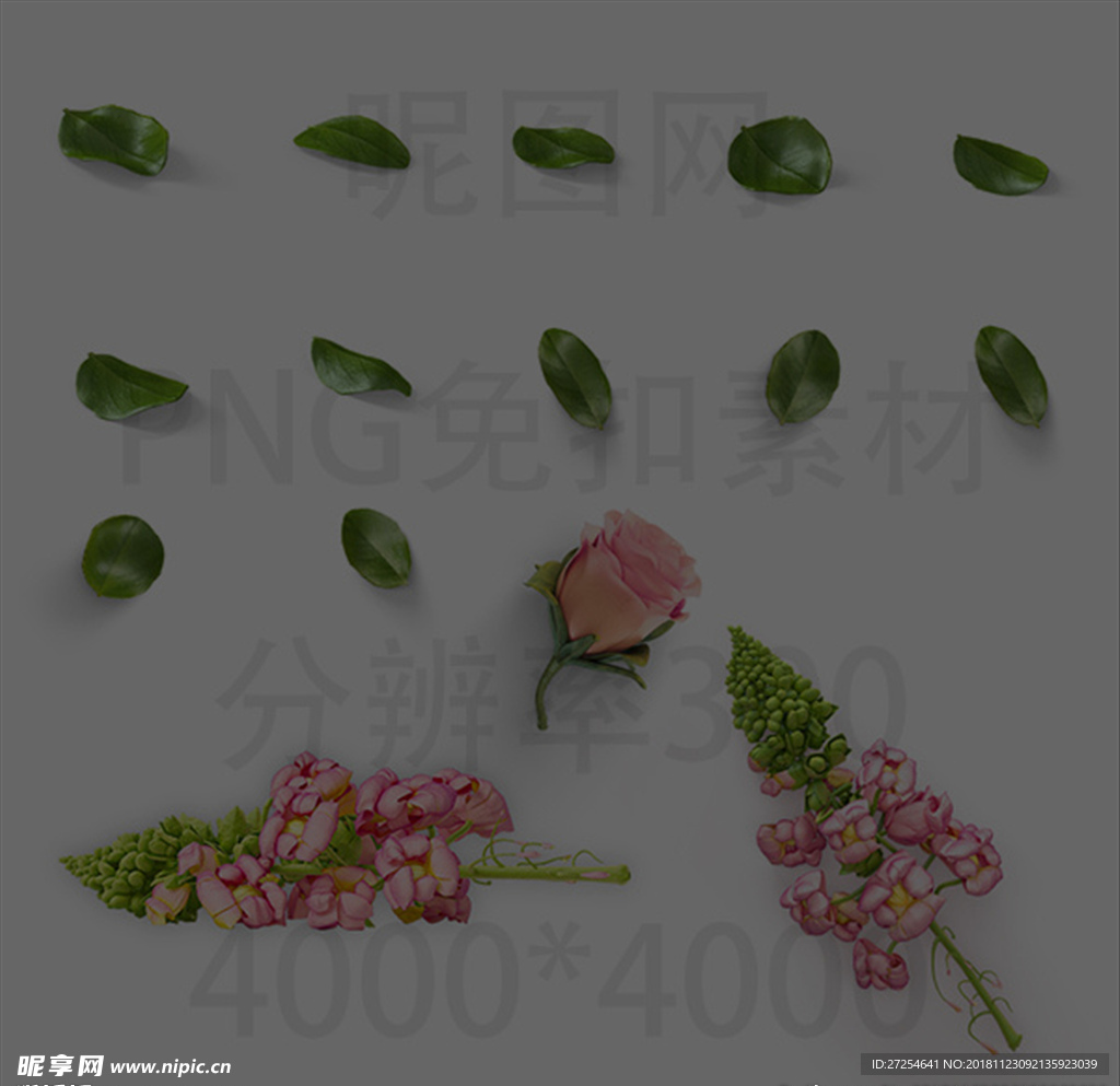 免扣花朵绿叶素材png素材图片