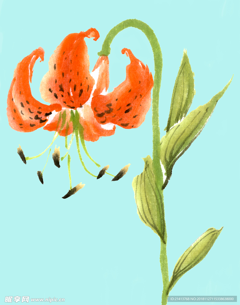 手绘花卉素材 花