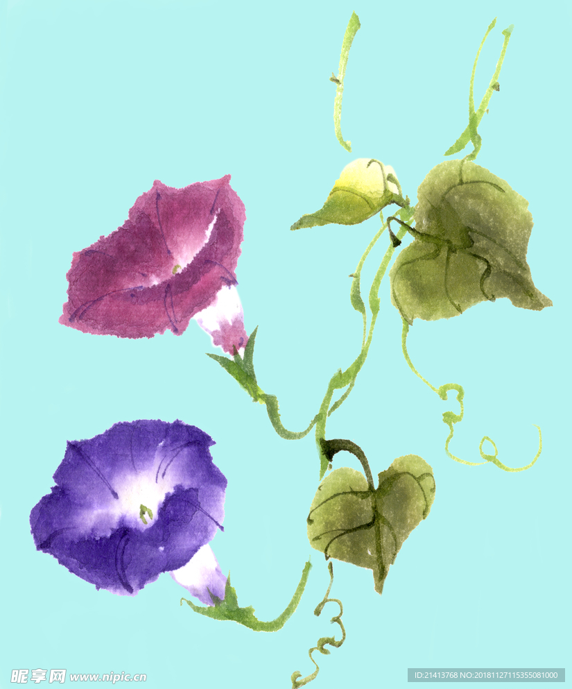 手绘花卉素材