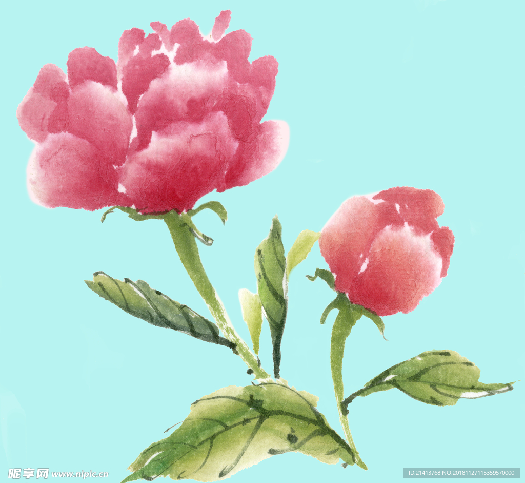 手绘花卉素材