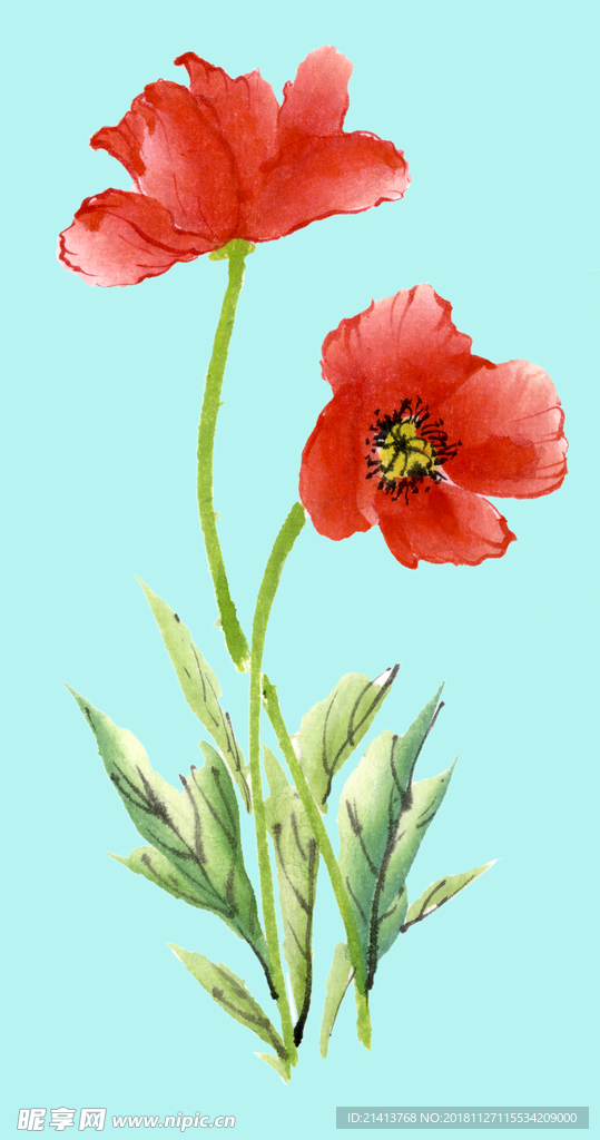 手绘花卉素材