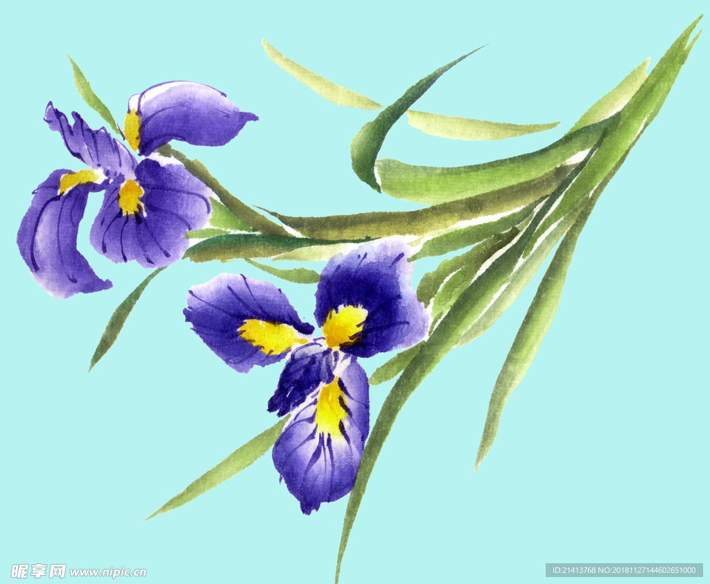 手绘花卉素材
