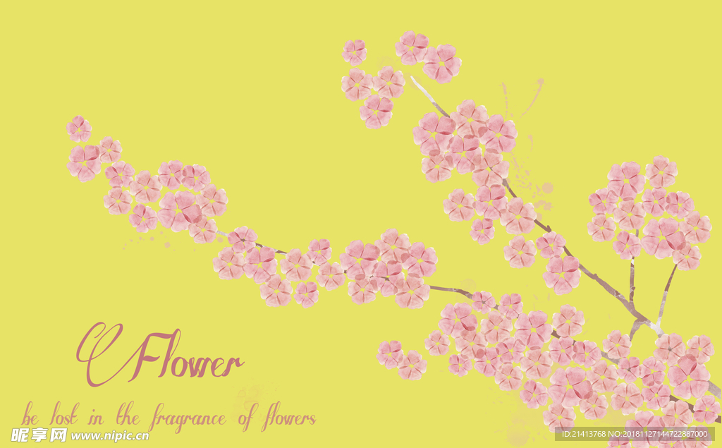 花卉背景素材