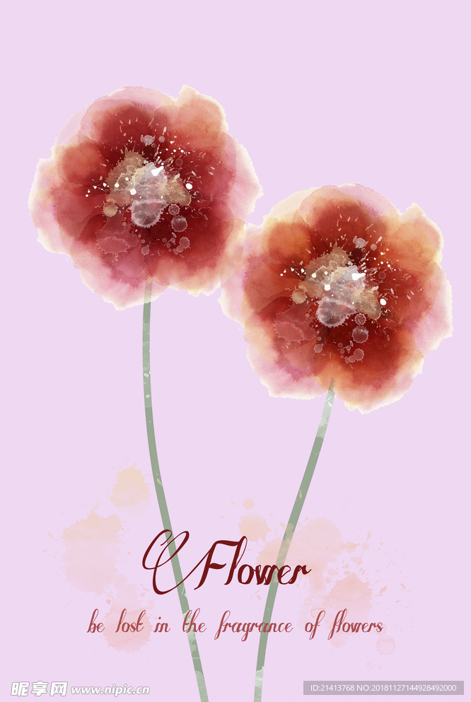 花卉背景素材