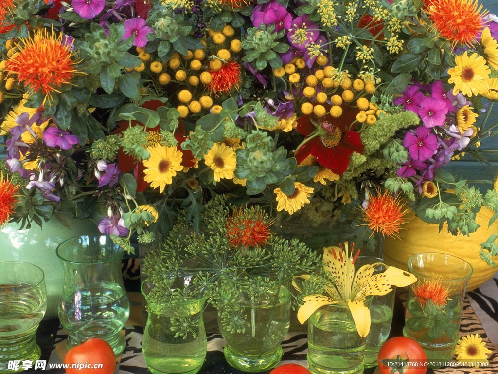 鲜花花朵花卉
