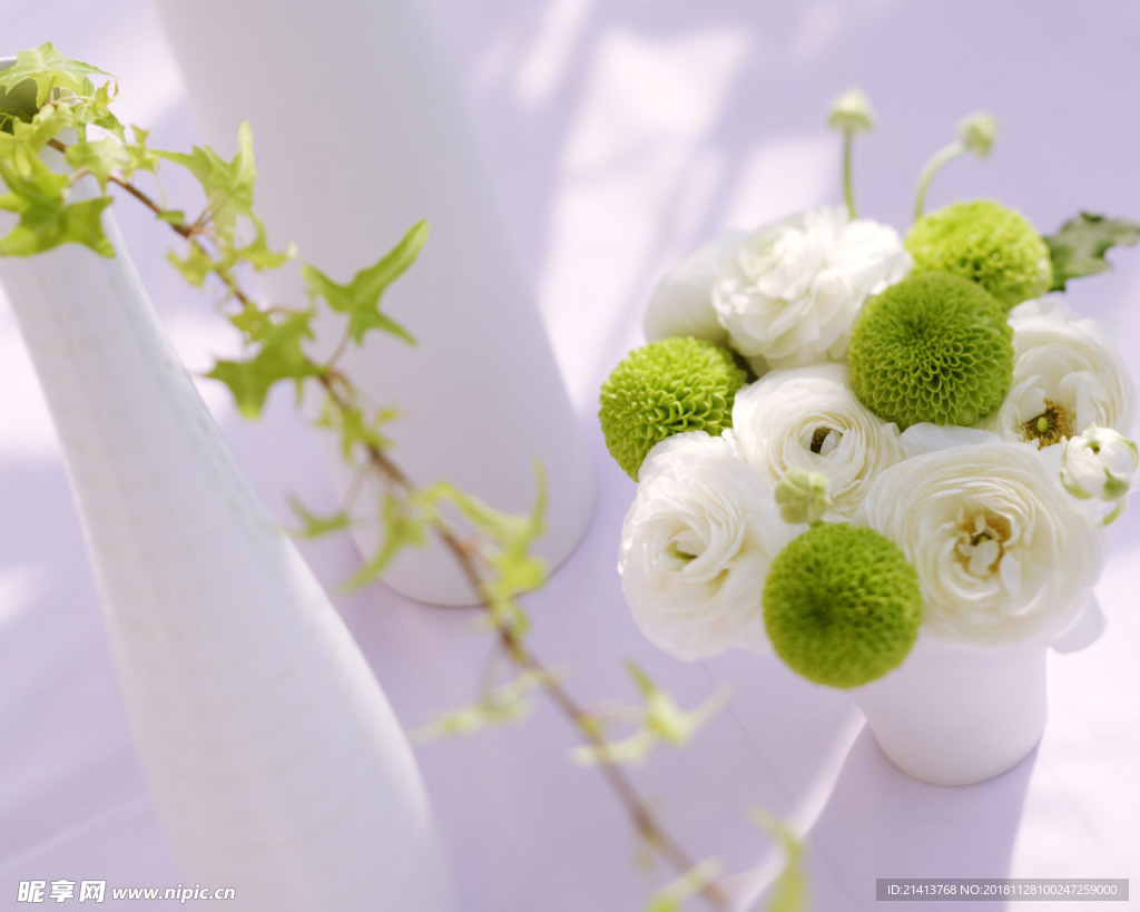 鲜花花朵花卉