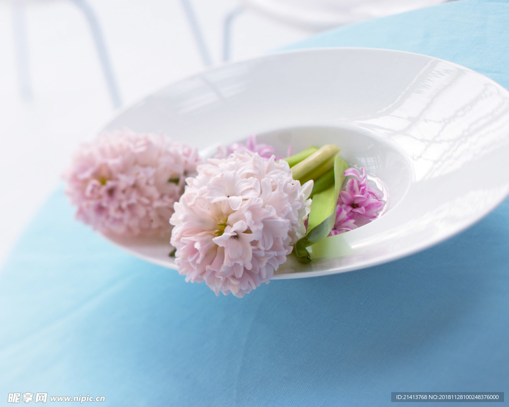 鲜花花朵花卉