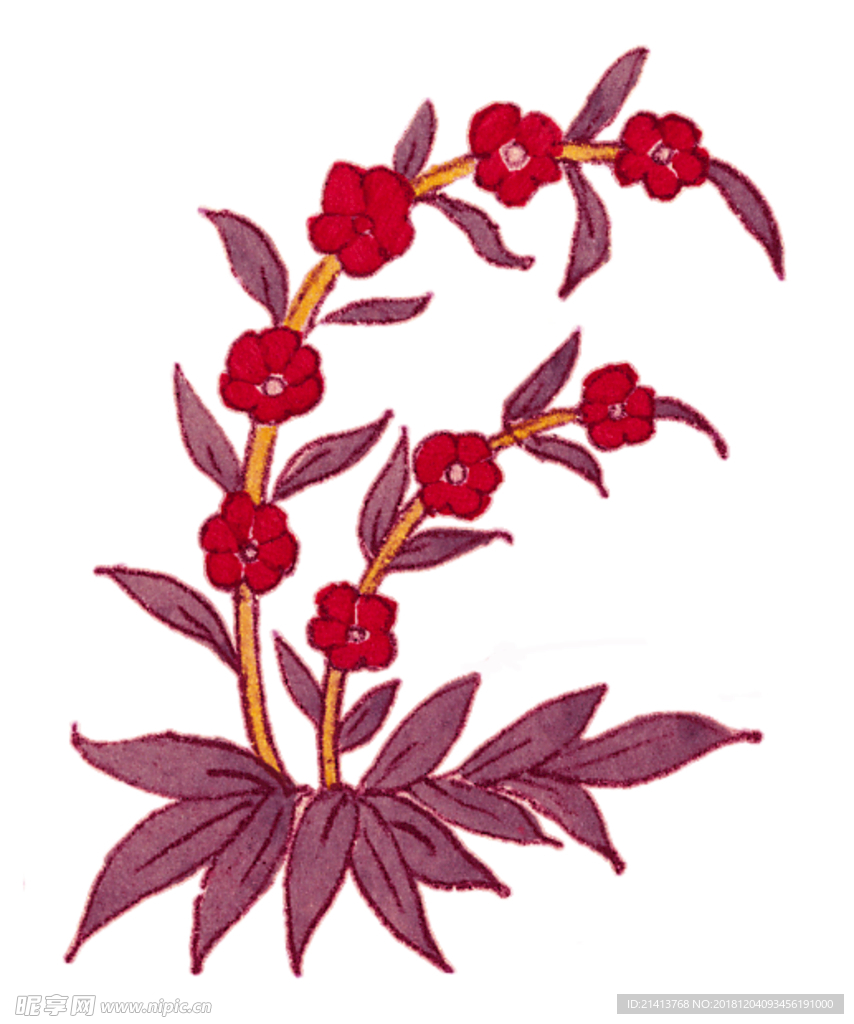花卉底纹边框