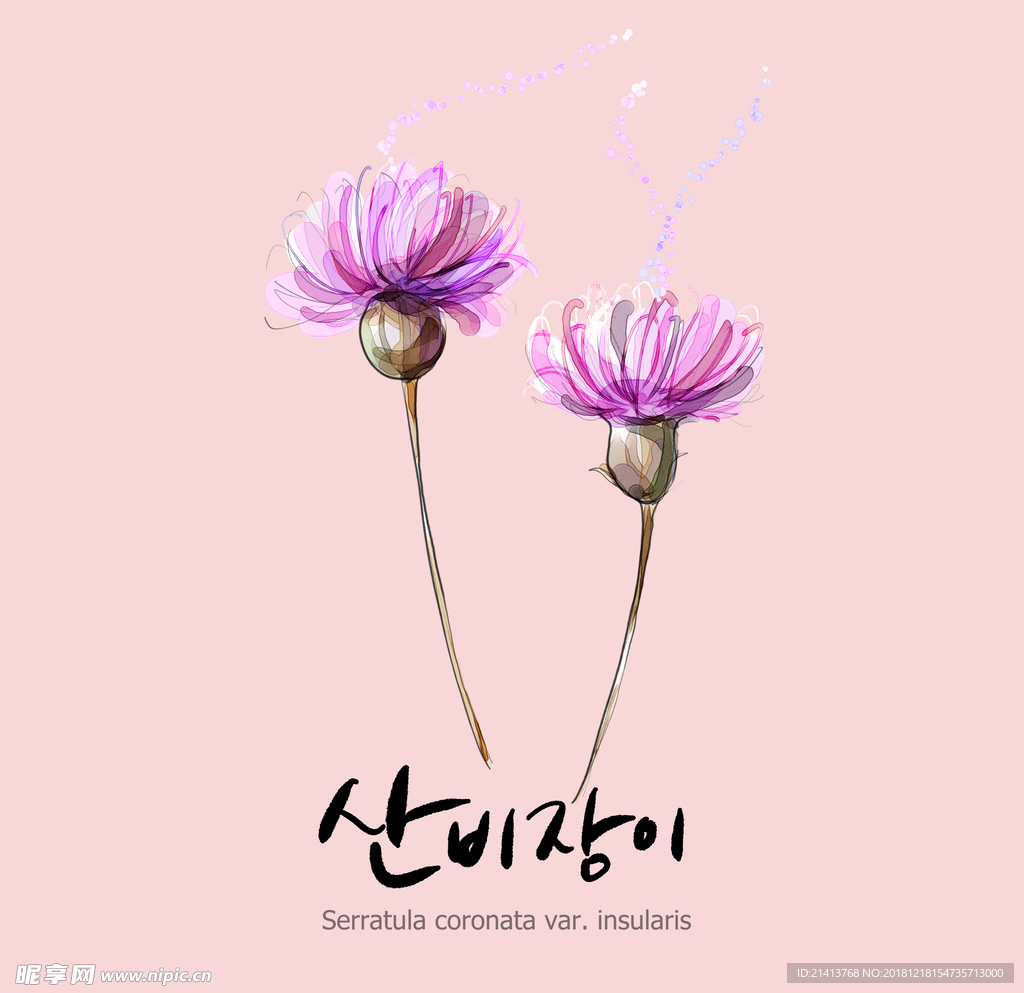 手绘花卉素材