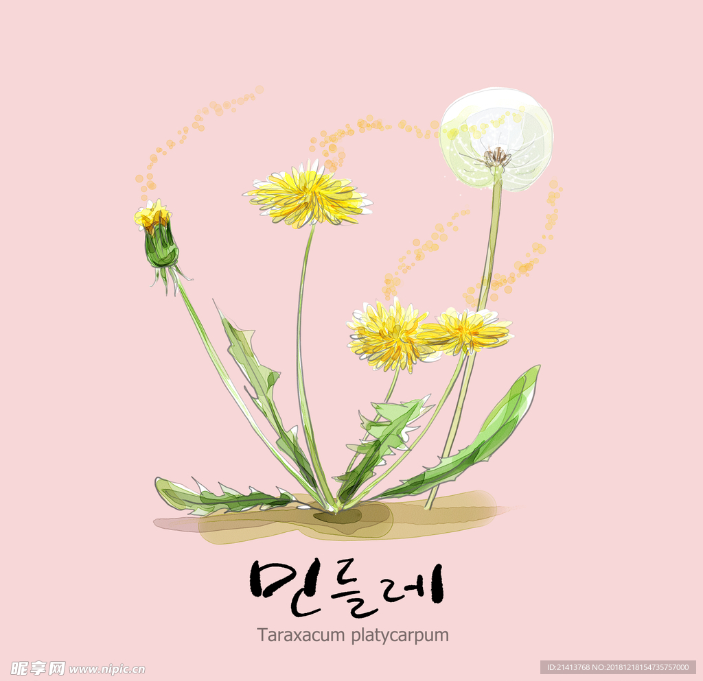 手绘花卉素材