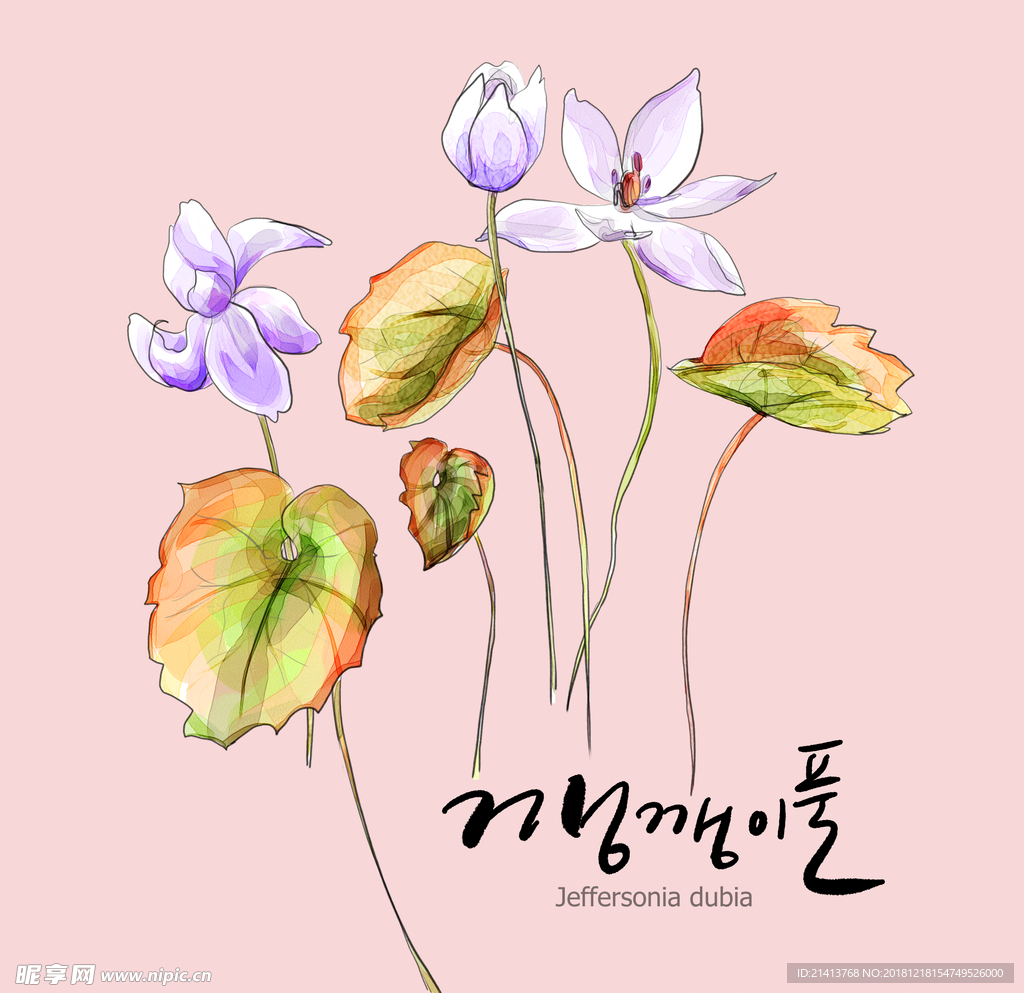 手绘花卉素材