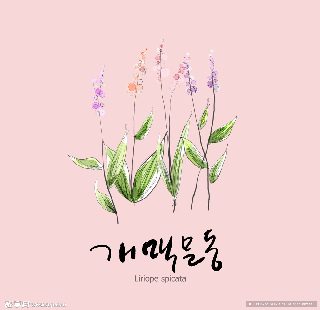 手绘花卉素材